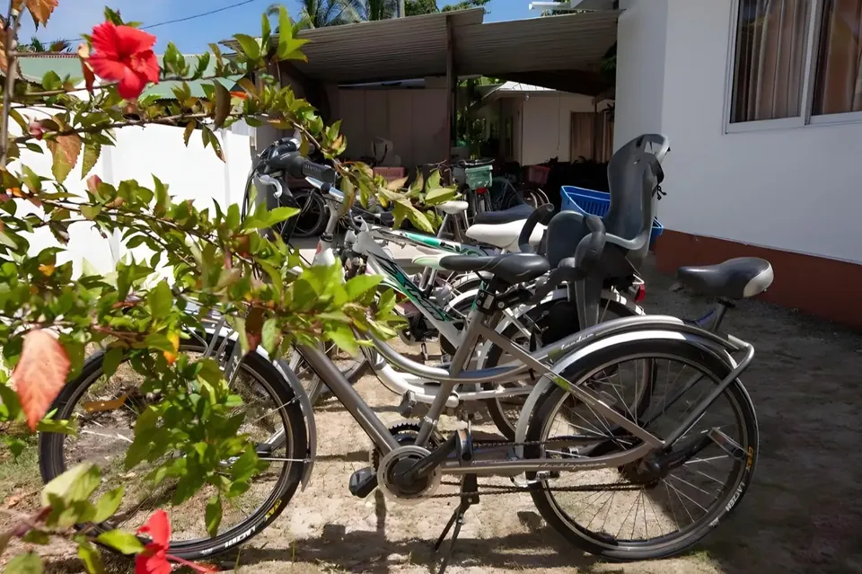 Fahrräder, abgestellt neben einem Hibiskusstrauch